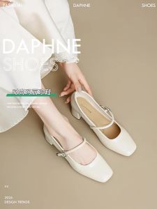 Daphne | French Style Mary Jane Flats Chunky Heel Straps