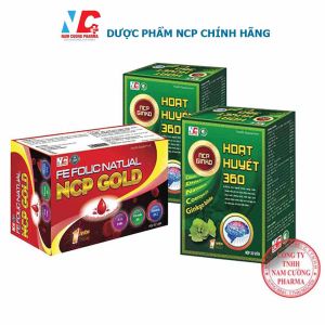 Combo giảm đau đầu hoa mắt chóng mặt hiệu quả NCP GINKO HOẠT HUYẾT 360 và FE FOLIC NATUAL NCP GOLD Giảm tê bì tay chân đau bụng kinh rong kinh