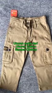 Zweckout label Celana Panjang Anak Laki Laki Cargo Slim Fit Kargo Usia 2 - 12 Tahun Army