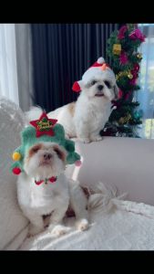 ชุดคริสต์มาส หมา แมว หมากลาง-ใหญ่ (หมวกสโนว์แมน/ต้นสน/ปลอกคอโดนัท) นุ่มฟู ใส่สบาย แฟนซี Pet Christmas Costume