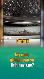 Tẩy Mốc Gioăng Cao Su Diệt Sạch Nấm Mốc 99% Dễ Dàng Vệ Sinh - Hộp 100Gr