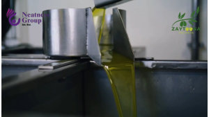 Al-Huda Natural Extra Virgin Olive Oil / Minyak Zaitun 5L Al Huda Olive Oil Aldi Sunflower Oil 5L - Lazada