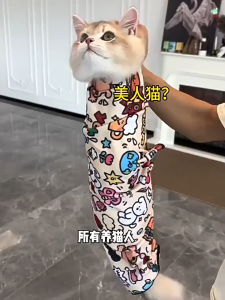 Cat Wrap Cloth Magic Self-Adhesive Cloth For Nail Clipping Ear Cleaning Teeth Brushing Anti-Scratch