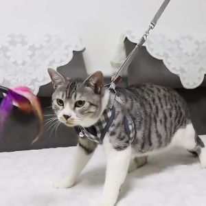 PET DIARY Tali Harnes Kucing Rompi Anjing Aksesori Hewan Peliharaan Besar Kecil Kelinci Babi Manis
