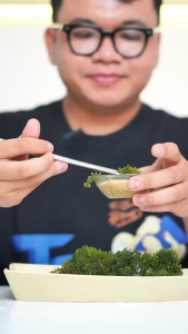 Premium Japanese Sea Grapes Green Caviar Seaweed Low Calorie Healthy Food Sushi Salad 100g