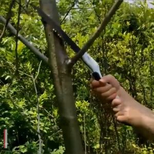 Gergaji Lipat Impor Super Tajam  Foldable Saw Woodworking Gardening 53 cm KNIFEZER