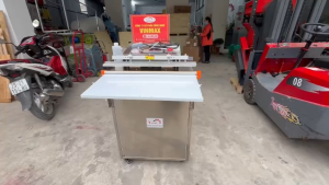 Máy hút chân không vòi ngoài VS600B ( inox)