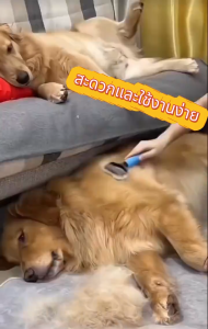 แปรงขนสุนัข แปรงกําจัดขนสองด้าน หวีสุนัขหวีแมว มีซี่เป็นเแตนเลส หวีสางขนที่พันกัน สางขนเสีย ไม่ทำร้ายผิวหนัง สุนัข แมว Grooming Brush