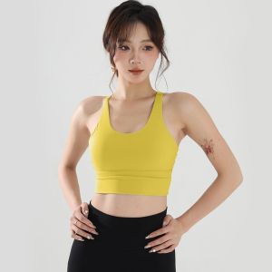 SKINOFSKIN | High Intensity Fixed Seamless Moisture Wicking Sports Bra