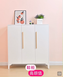 Steel Shoe Storage Cabinet Dust-proof Shoe Organizer Rack for Entrance Hallway Bedroom
