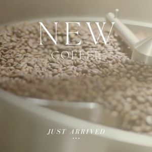 [NEW ARRIVAL] Ethiopia Guji Hambella G1Natural Single Origin Filter Brew Coffee Bean Specialty Coffee