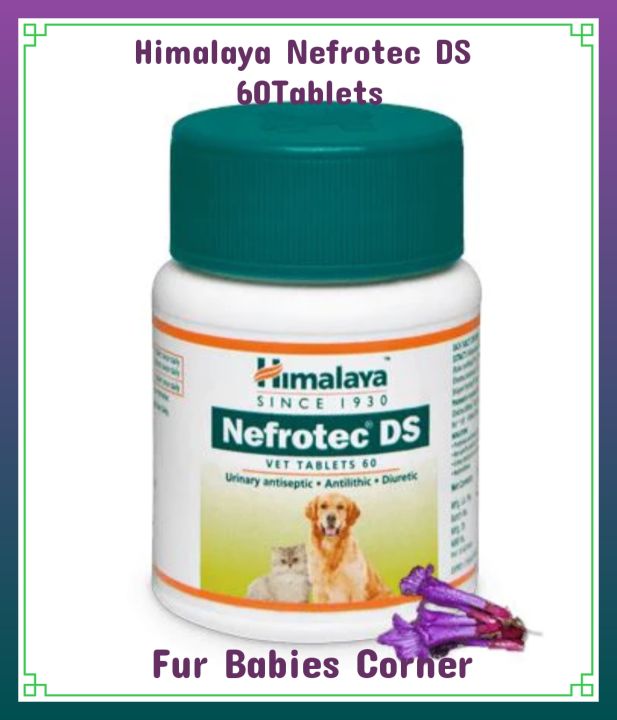 Himalaya vitamins for dogs best sale