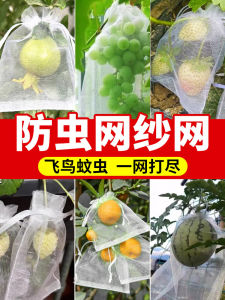 Fly Net Voile Vegetable Preserved Meat Fruit Bag Banana Papa Orange Guava Citrus Special Bag Handy Gadget Bird-Proof