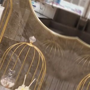 COD Birdcage marble Gold tray Pajangan Rumah Dekorasi ruangan