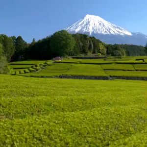 【MY Dliver】Japanese matcha whisk set Japanese Tea Sets Matcha Whisk Spoon Ceramic Matcha Bowl 4-piece set