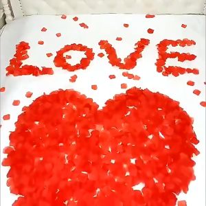 2000Pcs Artificial Rose Petals Flowers Romantic Silk Fake Colorful Rose Petal DIY Valentines Day Wedding Party Decor
