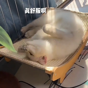 【SG】Sisal Cat Scratch Board Large Size Wear-resistant and Non Shedding Cat Nest Integrated Anti-Scr