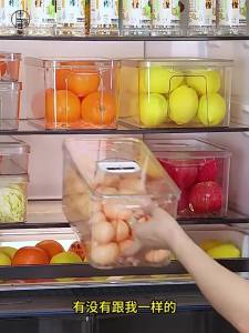 Food Storage Box Refrigerator