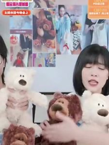 Gift Teddy Bear Stuffed Toy