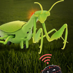 Đồ Chơi Mô Phỏng Điện Bọ Ngựa Điều Khiển Từ Xa Dụng Cụ Thần Thánh Trêu Chọc Tiktok Con Gián Con Nhện Biết Động Vật Nhỏ Bò Sát