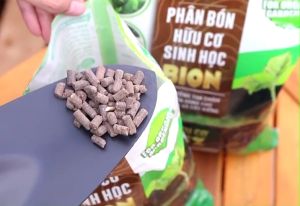 Phân bón hữu cơ sinh học Bion Ficoco_dinh dưỡng tan chậm chuyên dùng cho Rau - Hoa - cây kiểng