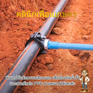 แคลมป์รัดแยกท่อ PE ไชโย รุ่นเกลียวในด้านเดียว ขนาด 50-63 มม. x 1/2-1 นิ้ว ท่อไม่รั่ว ติดตั้งง่าย งานเกษตรมือโปร