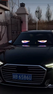 LED Devil Eyes Light for Car Truck Windshield Demon Front Rear Window Display Sign Animated Dynamic Flicker USB Plug Cool Fun Accessories Yellow WhiteLED Devil Eyes Light for Car Truck Windshield Demon Front Rear Window Display Sign Animated Dynamic Flick