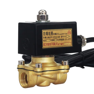CNHUIZ | Explosion-proof Solenoid Valve DN15 AC220V