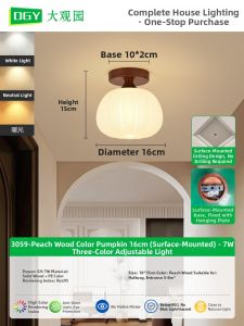 DGY | Warm Luxurious Atmophere Lighting Fixture