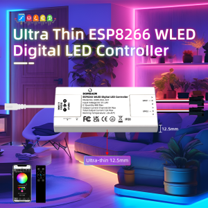 DOMRAEM ESP8266 WLED Digital DIY LED Controller - Ultra-Thin 2CH 12A 800 ICs WS2812B/2814/2805 WiFi MQTT/Home Assistant/Alexa