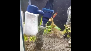 Multi-Function 4-in-1 Aquarium Maintenance Kit | Cordless Siphon Vacuum Cleaner with Water Level Sensor | Fish Tank Cleaning Tool | Fast & Easy | Local Stock🇲🇾