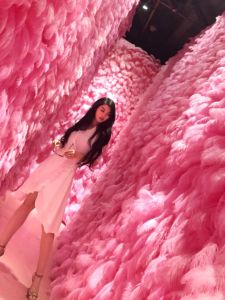 Pink Ostrich Feather Wall Popular Internet Red Background Wall for Display Window Photography Studio Promotion Scenic Wall