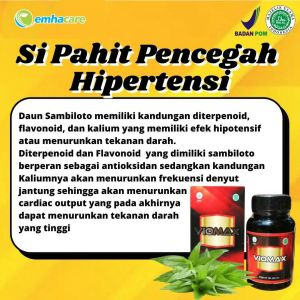 capsul herbal viomax sambiloto obat wasirambaienstroke