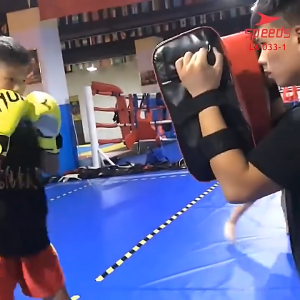SPEEDS Foot Target Pad Boxing Muaythai Taekwondo Karate Aksesoris Olahraga Bela Diri Samsak 033-1