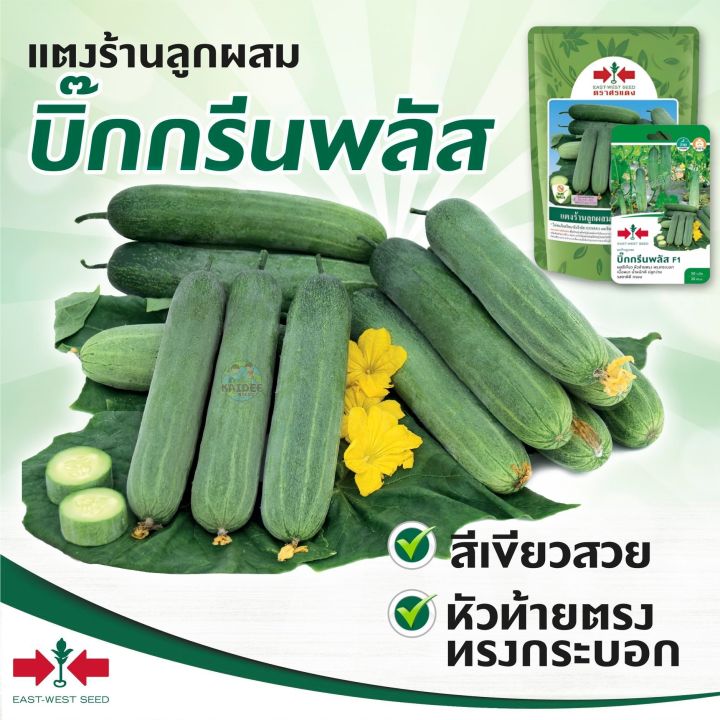 เมล็ดพันธุ์แตงร้าน บิ๊กกรีนพลัส ศรแดง ผลยาวเขียว