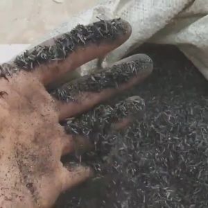 Padi bakar rice husk Sekam Padi Bakar Halus BURN RICE HUSK CHARCOAL POWDER FOR CACTUS SUCCULENT