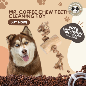 ✅[SG] MR. COFFEE CHEW TEETH CLEANING TOY ★ FREE Training e-Guide Worth $7 ★ Enrichment ★ SG Stock ★ Kopi Lobang