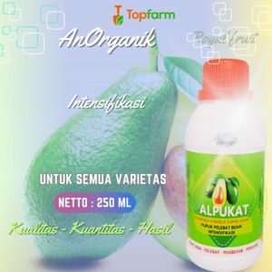 Pupuk Penyubur Daun & Buah Alpukat: Meningkatkan Hasil Panen & Kualitas