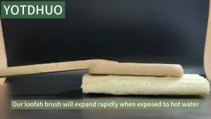 Natural Loofah Brush for Shower(2Pack) Luffa with Handle Back Scrubber Exfoliating Organic Lofa On a Stick