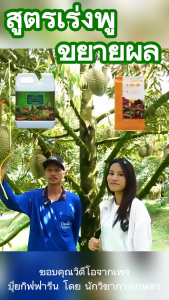 ส่งฟรี กิฟฟารีน ของแท้ ปุ๋ยเกล็ดทางใบ ปุ๋ย15 15 15 แมกนีเซียม พืช 1 กก. 5 กก. 20 กก. giffarine official