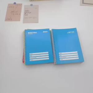 10Pcs A5 Thick Spiral Notebook Dual Line Notebook 80 Pieces 145 * 200mm Synthetic Dual Line Notebook