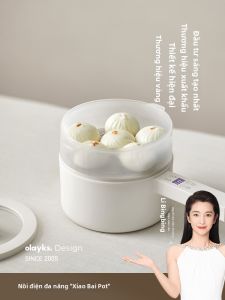 [China Plug Adapter Needed] Popular Home Small Multi-functional Electric Cooker