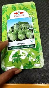 มะเขือเปราะ หยาดทิพย์ (ขนาด 20 กรัม) หมดอายุ24-09-2569 เมล็ดพันธุ์ ศรแดง ลอตใหม่ งอกดี ทรงหยดน้ำ สีเขียวอ่อน รสชาติหวานกรอบ ติดผลดก ระยะเก็บเกี่ยว 65 วัน npkplant