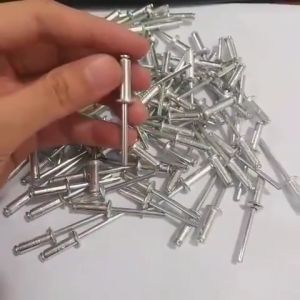 Paku Rivet  675 48x19mm isi 500pcs