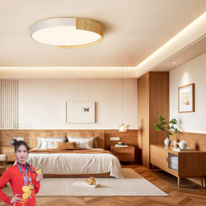 PAIMIJI | Installation Service Original Wood Style New Model Eye-Protective Modern Simple Atmospheric Ceiling Light