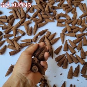 Nụ Trầm Hương Âu Lạc HỌP 45 NỤ Dùng Cho Thác Và Lư - Để Xông Đót Tẩy Uế Thờ Cúng Thưởng Trầm Hàng Tự Nhiên Gía Tận Xưởng