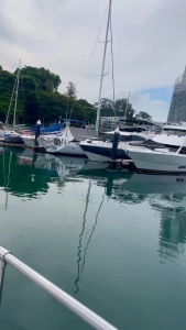 MAXIMUM YACHT 47FT  CATAMARAN