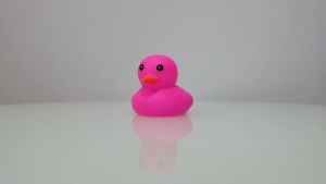 ของเล่นสุนัข สารพัดลายสัตว์ต่างๆ บีบๆ มีเสียงปิ๊ปบบบบๆๆๆ  มีหลายแบบให้เลือก