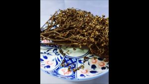 มะแขว่น อาหารเหนือล้านนา