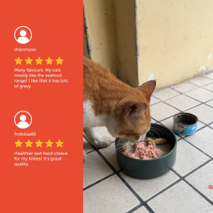 Loveabowl Chicken & Tuna in Broth Wet Cat Food 70g | Meal Topper Grain Free Cat Broth White Meat